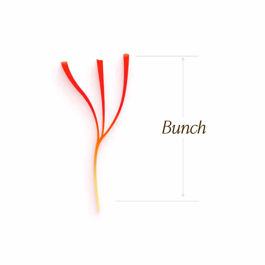 Bunch saffron