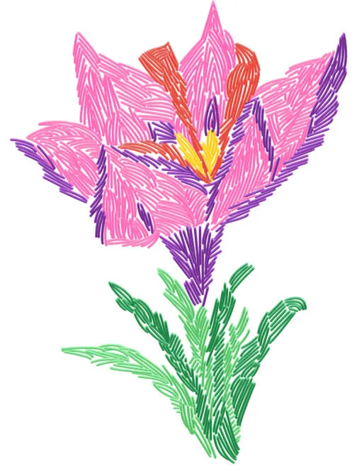 saffron niakan